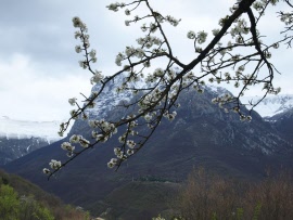 062_12_04_08_sibillini