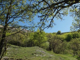 094_12_05_05_parco_verde