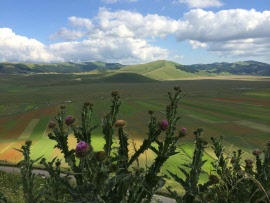 205_14_07_06_castelluccio