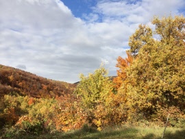 239_14_11_10_autunno_monti_sibillini
